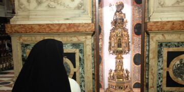 Santo Domingo de Guzmán: Rosa de paciencia